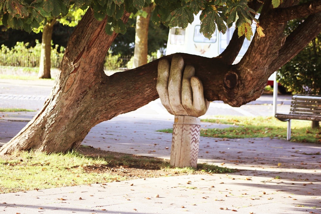 Hand stützt Baum